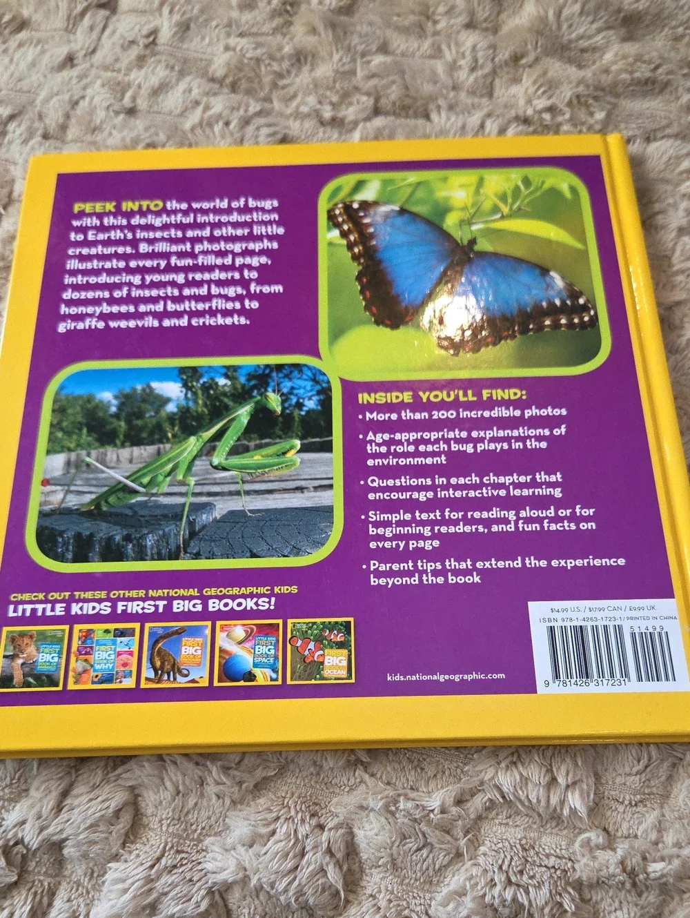 National Geographic Kids First Big Book of Bugs - Yellow and Red Cover